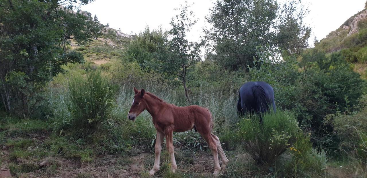 Casa Rural Carmen Luna Mallo de Luna Εξωτερικό φωτογραφία